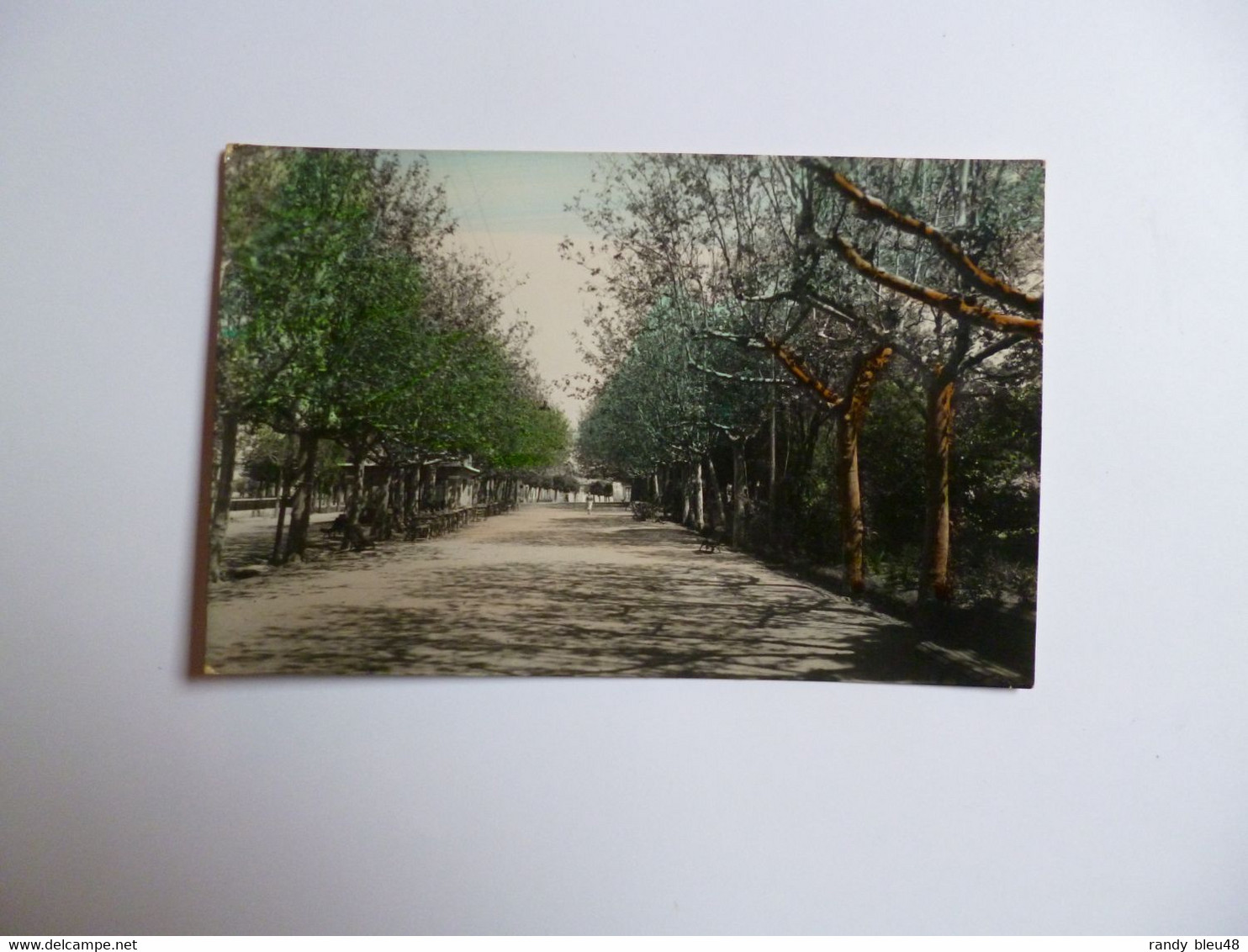 BENAVENTE  -  Paseos De Ramon Y Cajal  -  ESPAGNE - Zamora