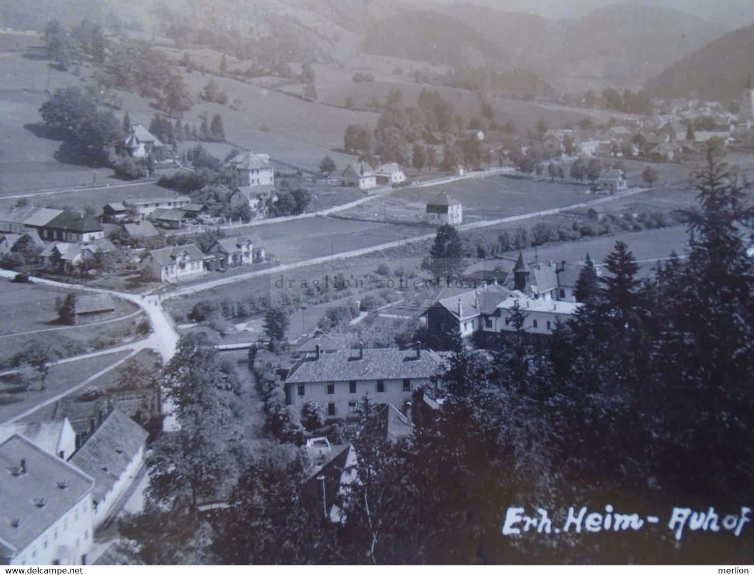 D181009  Österreich  TÜRNITZ  - N.Ö. FOTO-AK  Justl Lampl  Photo  Ca 1920's - Lilienfeld