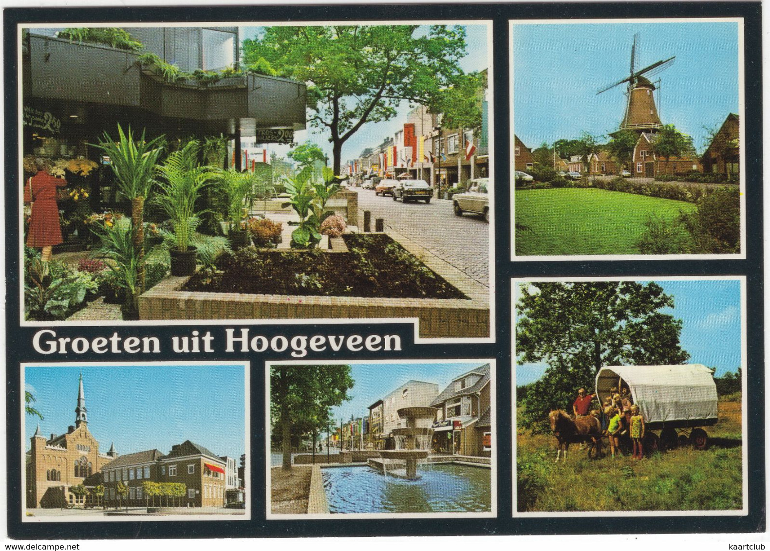 Groeten Uit Hoogeveen - Molen , Pony, Huifkar Etc. - (Drenthe) - Hoogeveen