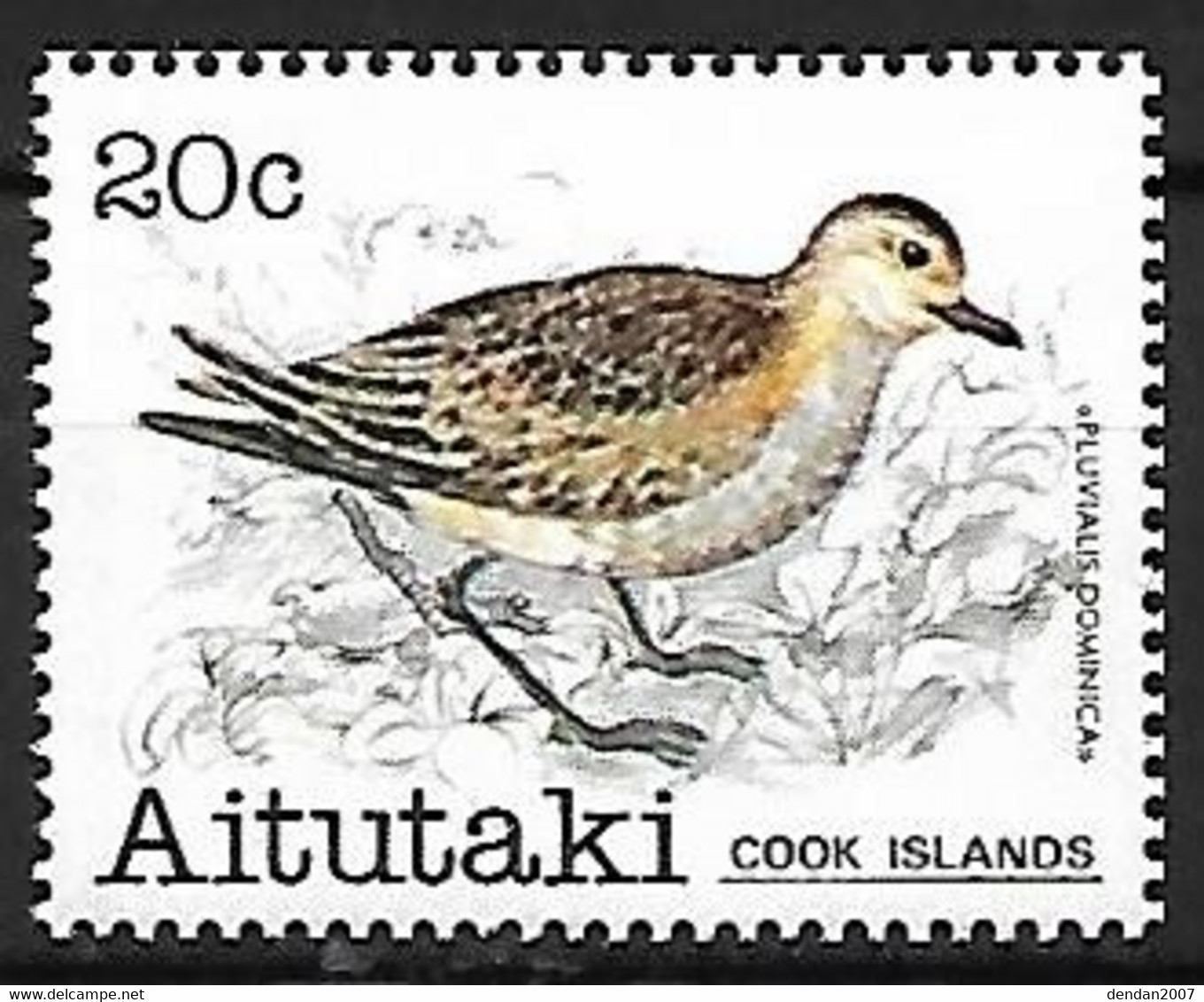 Aitutaki - MNH ** 1981 :   Pacific Golden Plover  -  Pluvialis Fulva - Otros & Sin Clasificación