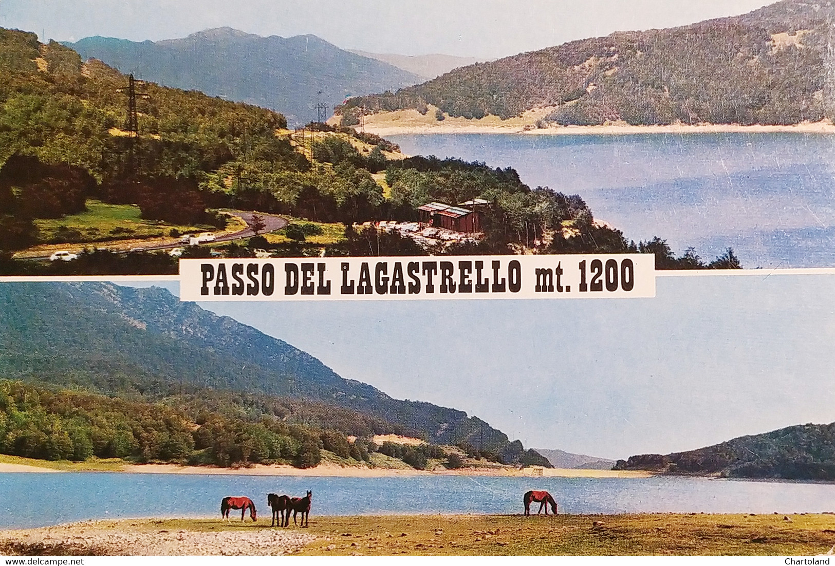 Cartolina - Passo Del Lagastrello ( Massa E Carrara ) - 1970 - Massa