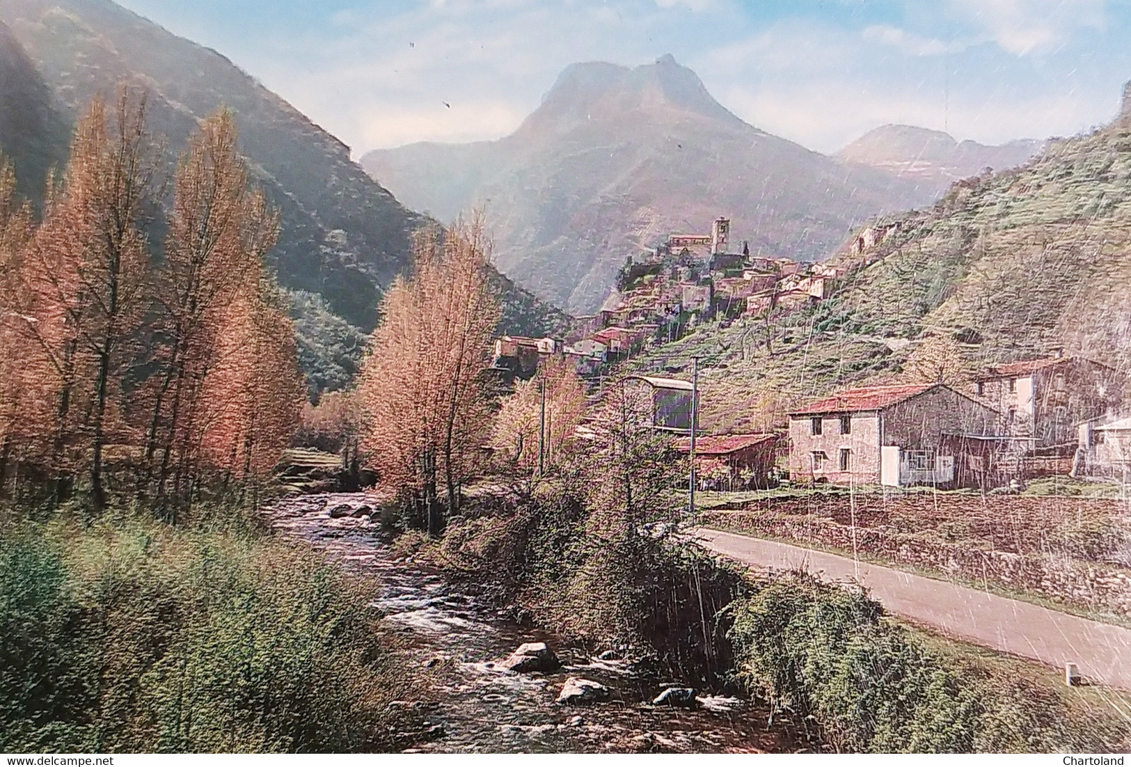 Cartolina - Monzone - Visione Panoramica Con Sfondo Delle Alpi Apuane - 1972 - Massa