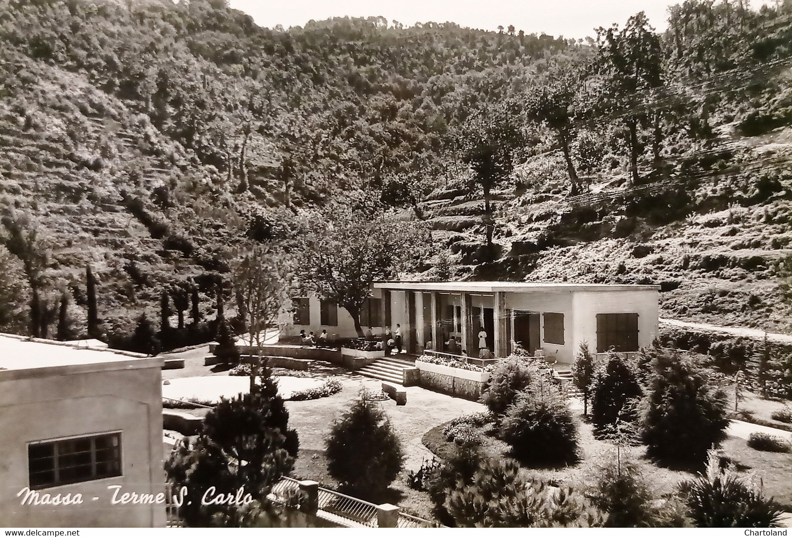 Cartolina - Massa E Carrara - Terme S. Carlo - 1965 - Massa