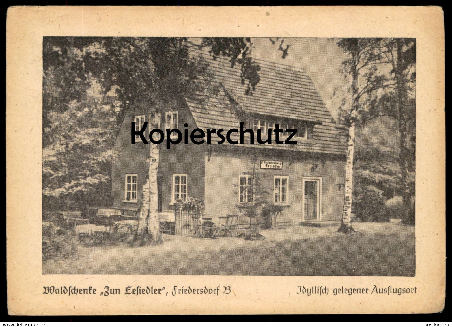 ALTE POSTKARTE WALDSCHENKE ZUM EESIEDLER FRIEDERSDORF SPREE Neusalza Spremberg Sachsen AK Ansichtskarte Cpa Postcard - Neusalza-Spremberg