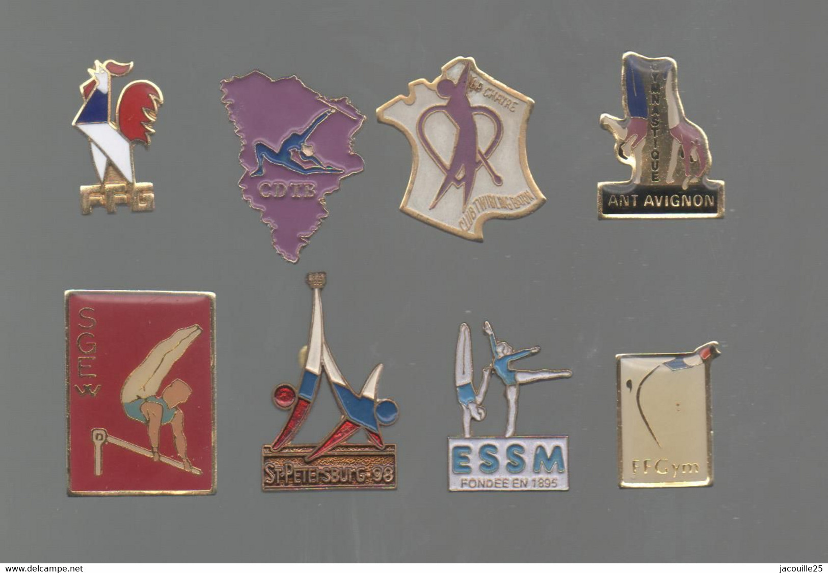 PINS PIN'S SPORTS  GYMNASTIQUE GYM FFG COQ CDTB AVIGNON SEEM ST PERTERSBURG SGEW LA CHATRE  LOT 8 PINS - Gymnastique