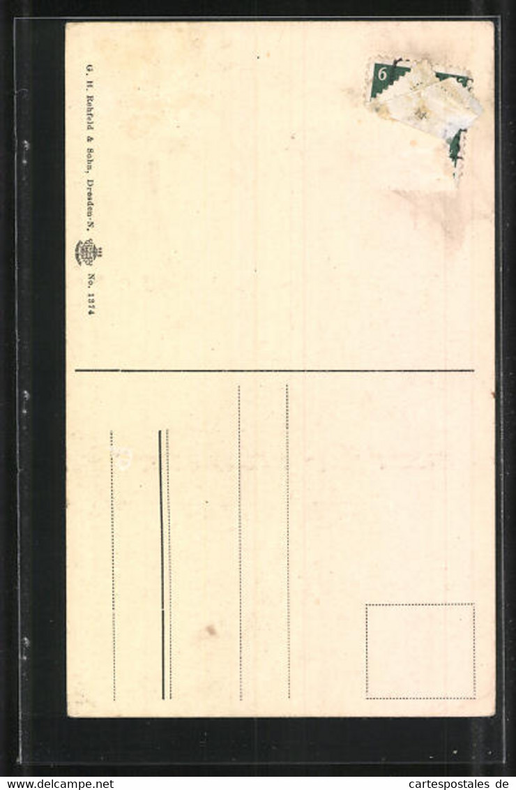 AK Weesenstein, Schloss Aus Der Vogelschau - Weesenstein A. D. Müglitz