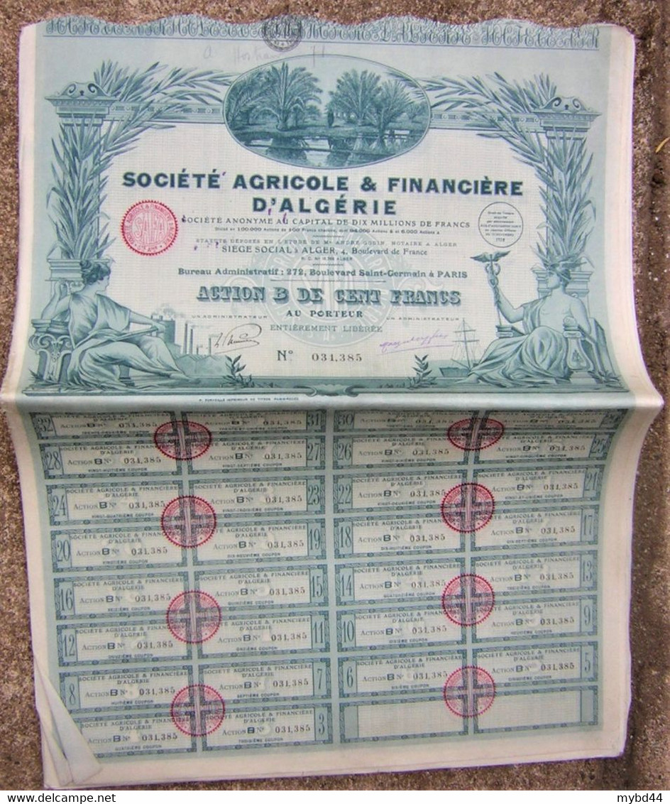 Gros Lot De 15 Vieux Papier Action Rare 100 Cent Franc SOCIETE AGRICOLE FINANCIERE D'ALGERIE 1928 Illustré Superbe T B E - Agricoltura