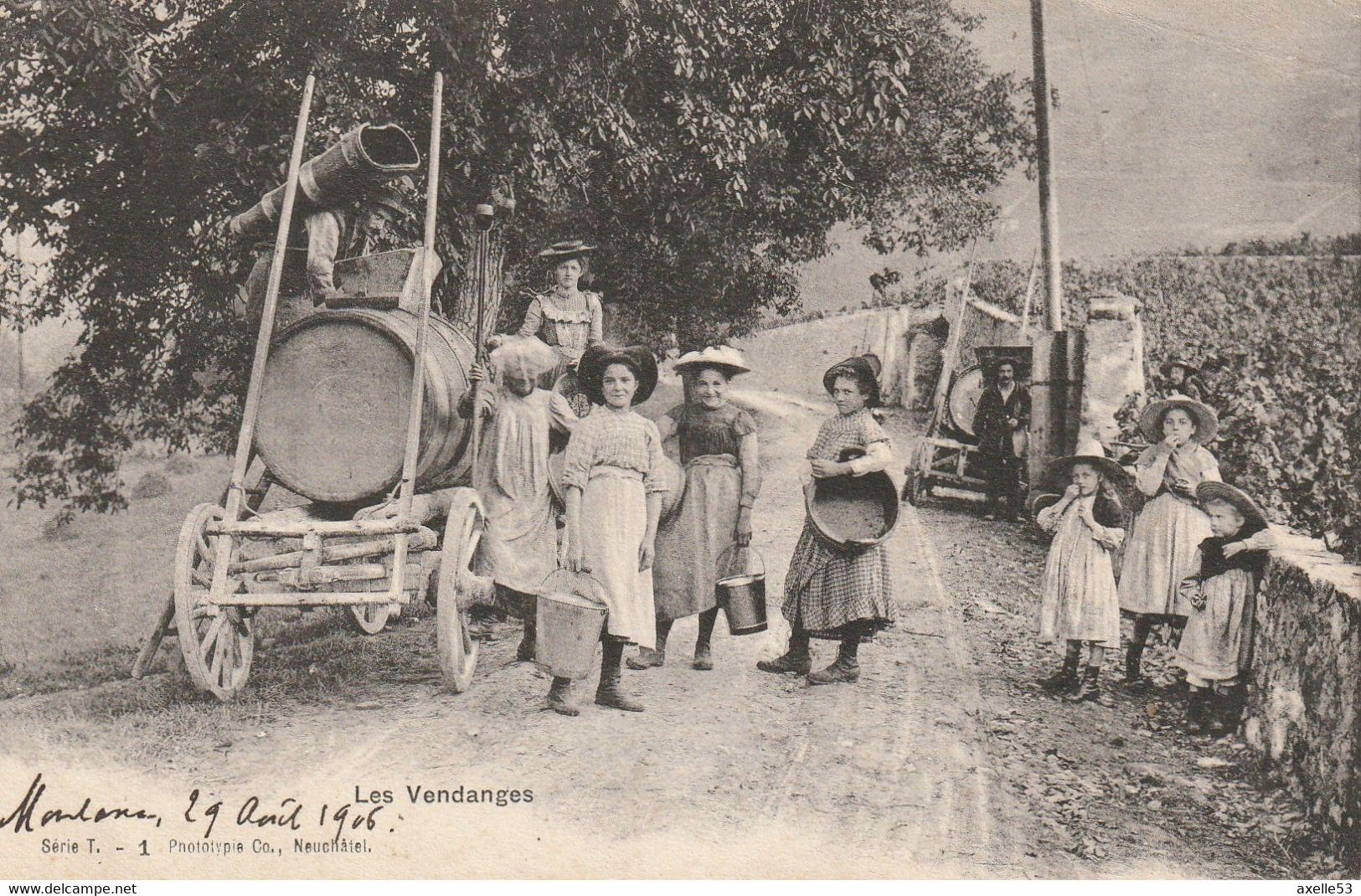 Suisse (5521) Valais - Les Vendanges - Autres & Non Classés