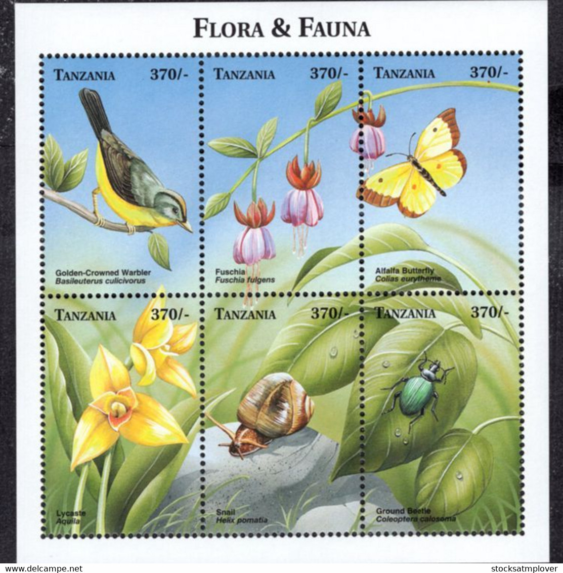 Tanzania 1999  Fauna  Flowers,  Birds,snail ,butterfly - Tanzania (1964-...)