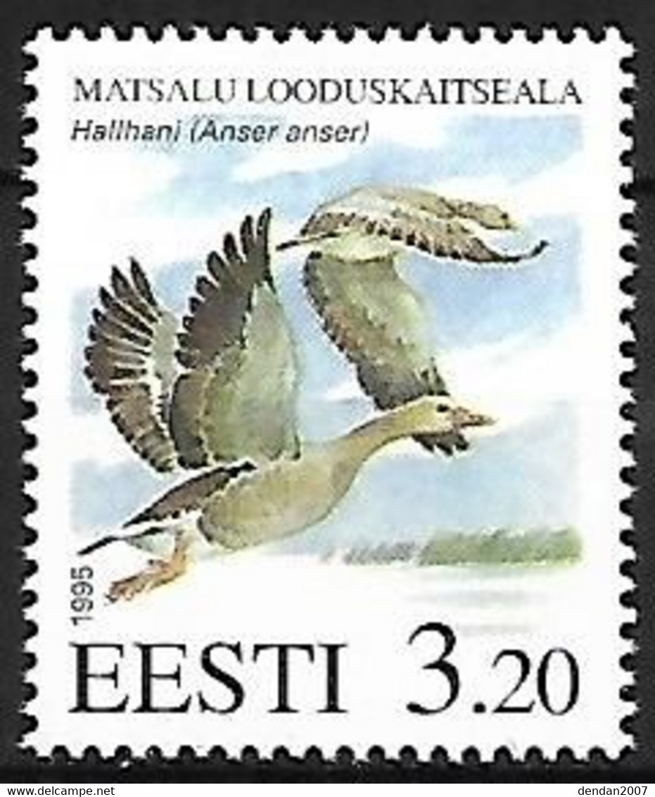 Estonia - MNH ** 1995 :     Greylag Goose  -  Anser Anser - Geese