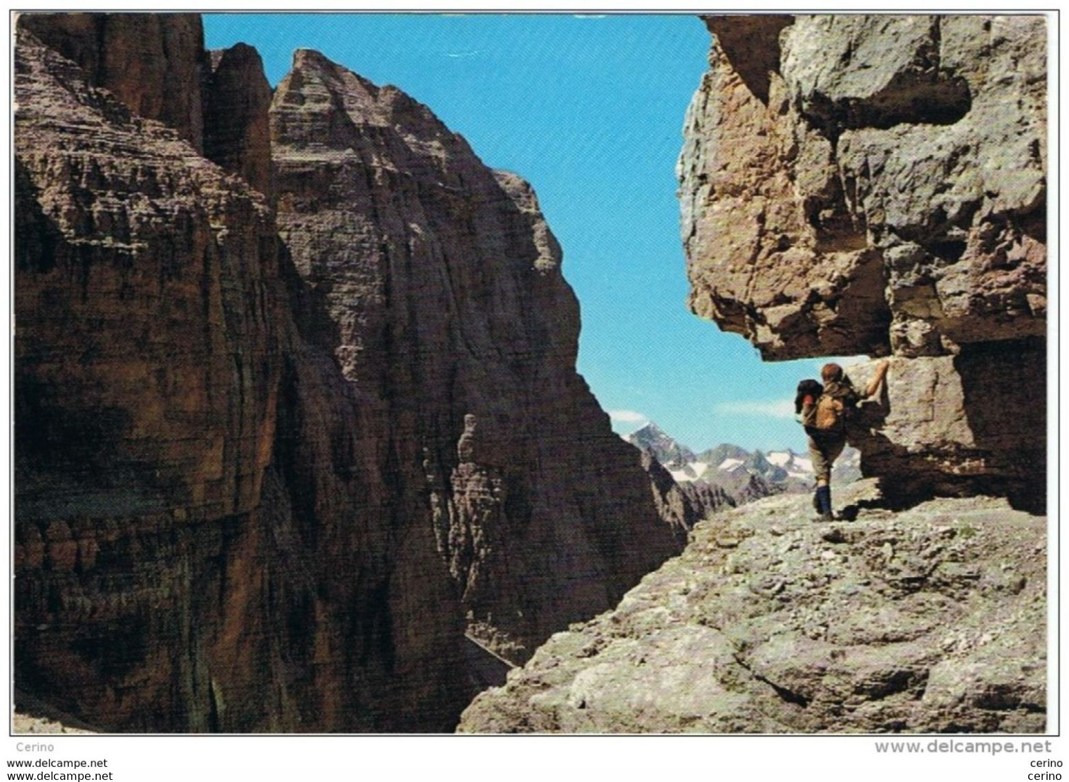 DOLOMITI  DEL  BRENTA (TN):  SENTIERO  S.O.S.A.T.  -  PER  LA  SVIZZERA  -  FG - Bergsteigen