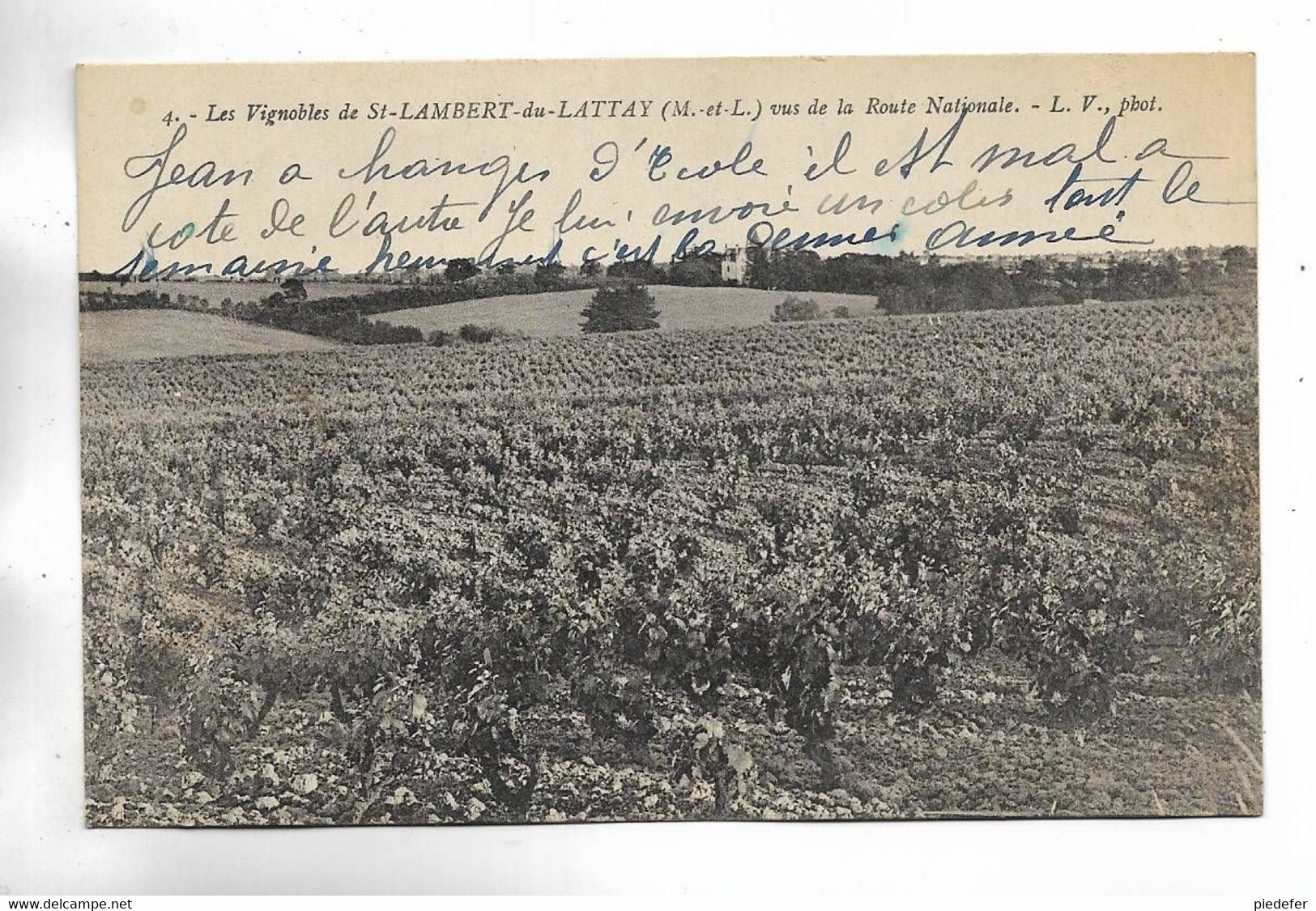 49 - Les Vignobles De St-LAMBERT Du LATTAY ( M.-et-L. ) Vus De La Route Nationale - Otros & Sin Clasificación