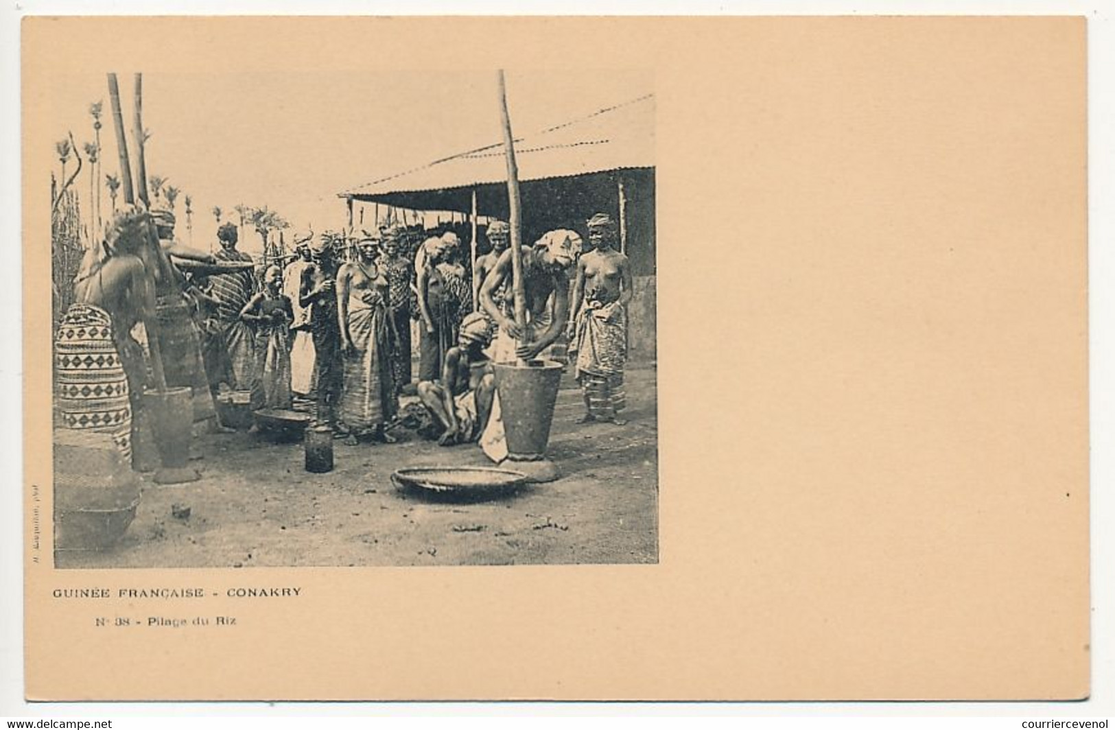 CPA - GUINÉE - Conakry - Pilage Du Riz - French Guinea