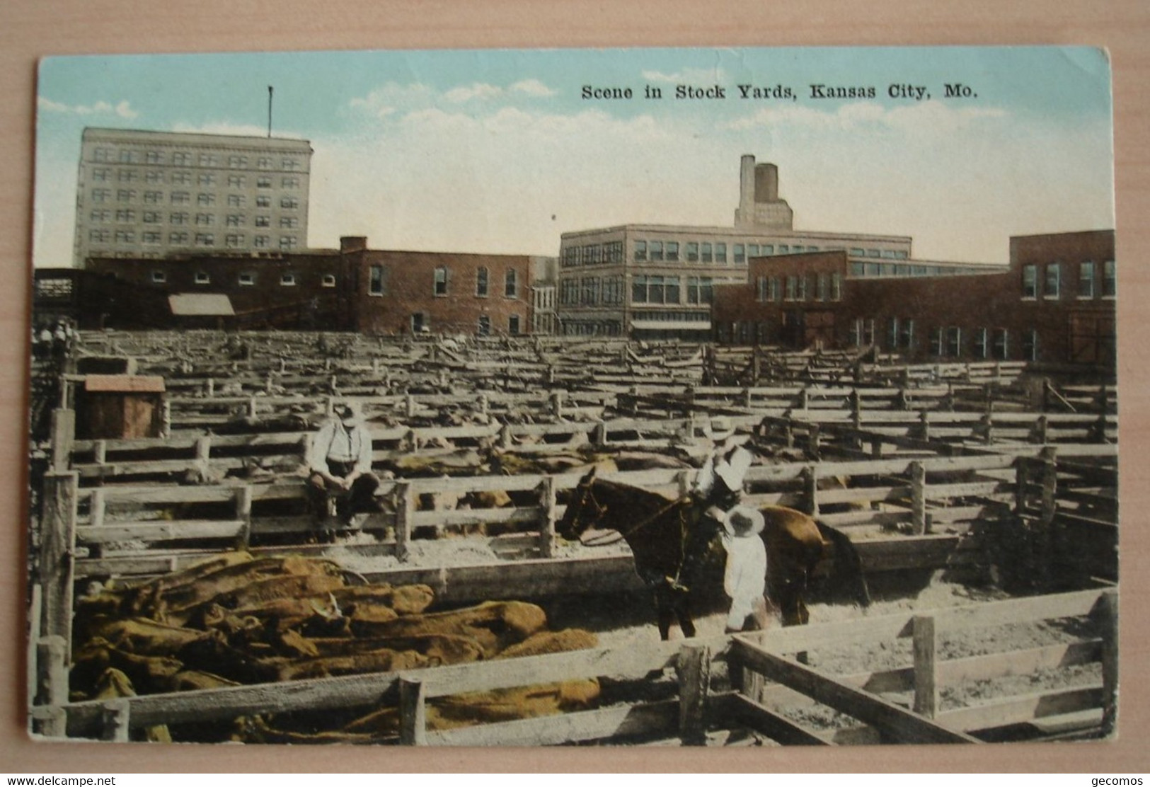 Scene In Stock Yards Kansas City - Kansas City – Missouri