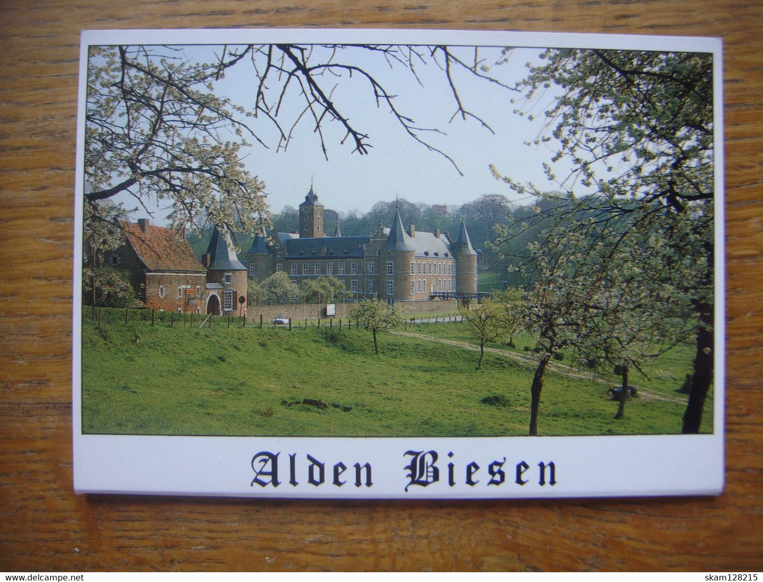 Carnet De 6 Cartes Postales De ALDEN BIESEN ( Rijkhoven Bilzen ) Parfait état - Bilzen