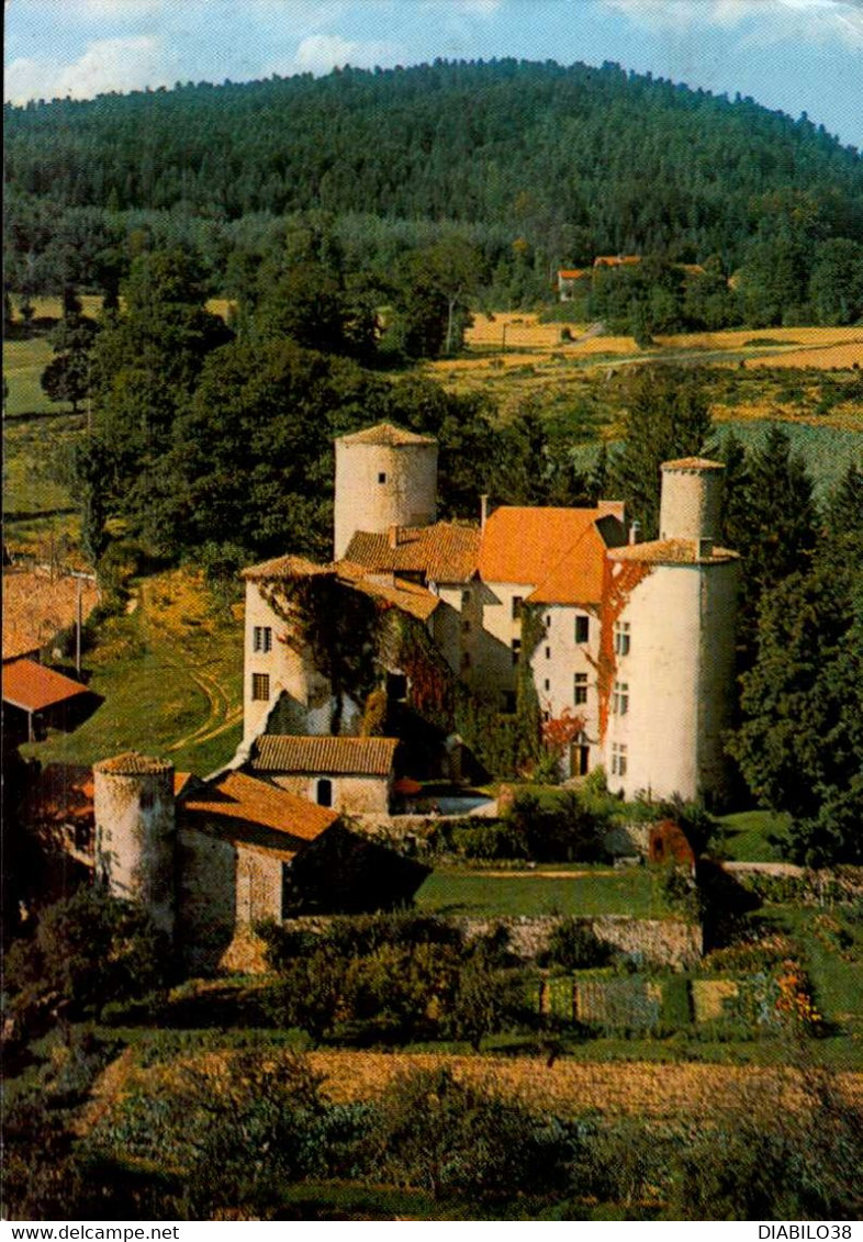 NOIRETABLE    ( LOIRE )   CHATEAU DE LA MERLEE - Noiretable