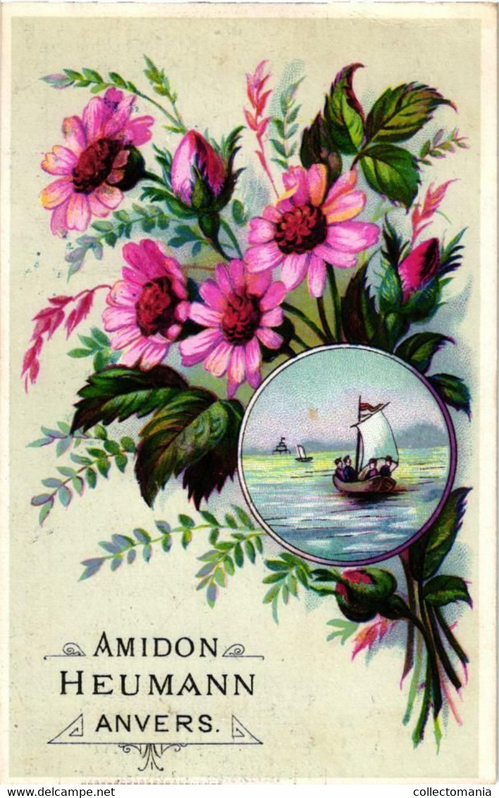 3  Calendar Cards C1896 PUB Starch Stijfsel Antwerp Litho  F. H. HEUMAN Starch Stijfsel - Litho Cartes Bloem Fleur - Formato Piccolo : ...-1900