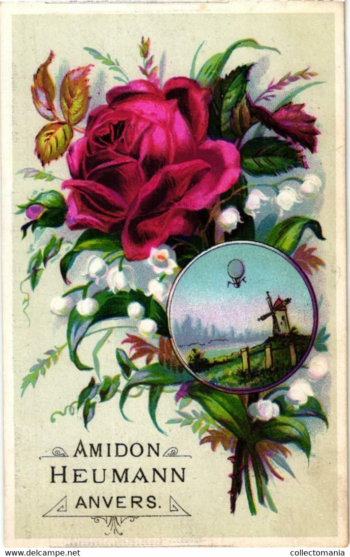3  Calendar Cards C1896 PUB Starch Stijfsel Antwerp Litho  F. H. HEUMAN Starch Stijfsel - Litho Cartes Bloem Fleur - Tamaño Pequeño : ...-1900