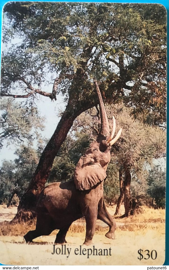 ZIMBABWE  -  Phonecard - Elephant - $ 30 - Simbabwe