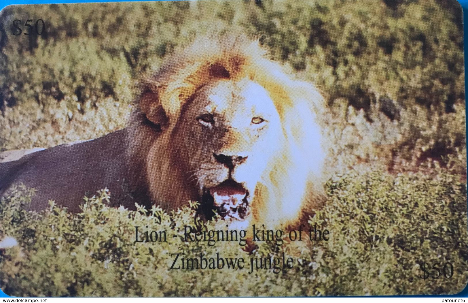 ZIMBABWE  -  Phonecard - Lion - $ 50 - Zimbabwe
