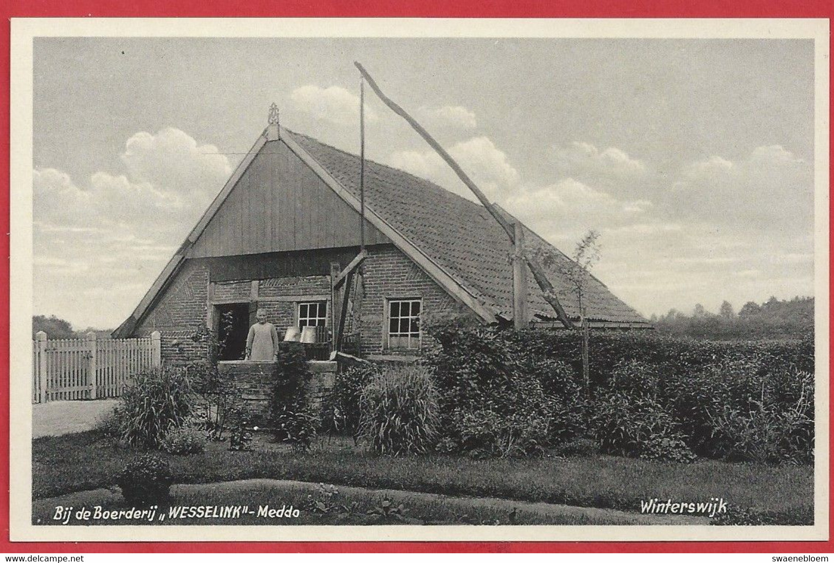 NL.- Winterswijk, Boerderij - WESSELINK -. MEDDO. Waterput. Boerin. Uitg. Boekhandel G.J. Albrecht, Foto J.H. Te Hofstee - Winterswijk