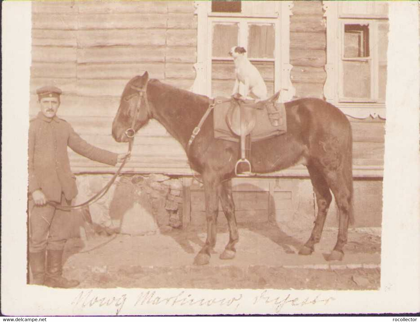 B2666 German Soldier 1917 With Dog On The Saddle Of The Horse Eastern Front WW1 Old Photo - Guerra, Militari