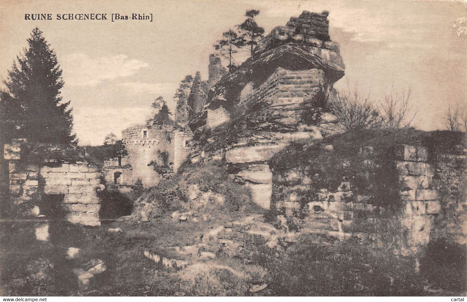 67 - Ruine SCHOENECK - Dambach-la-ville