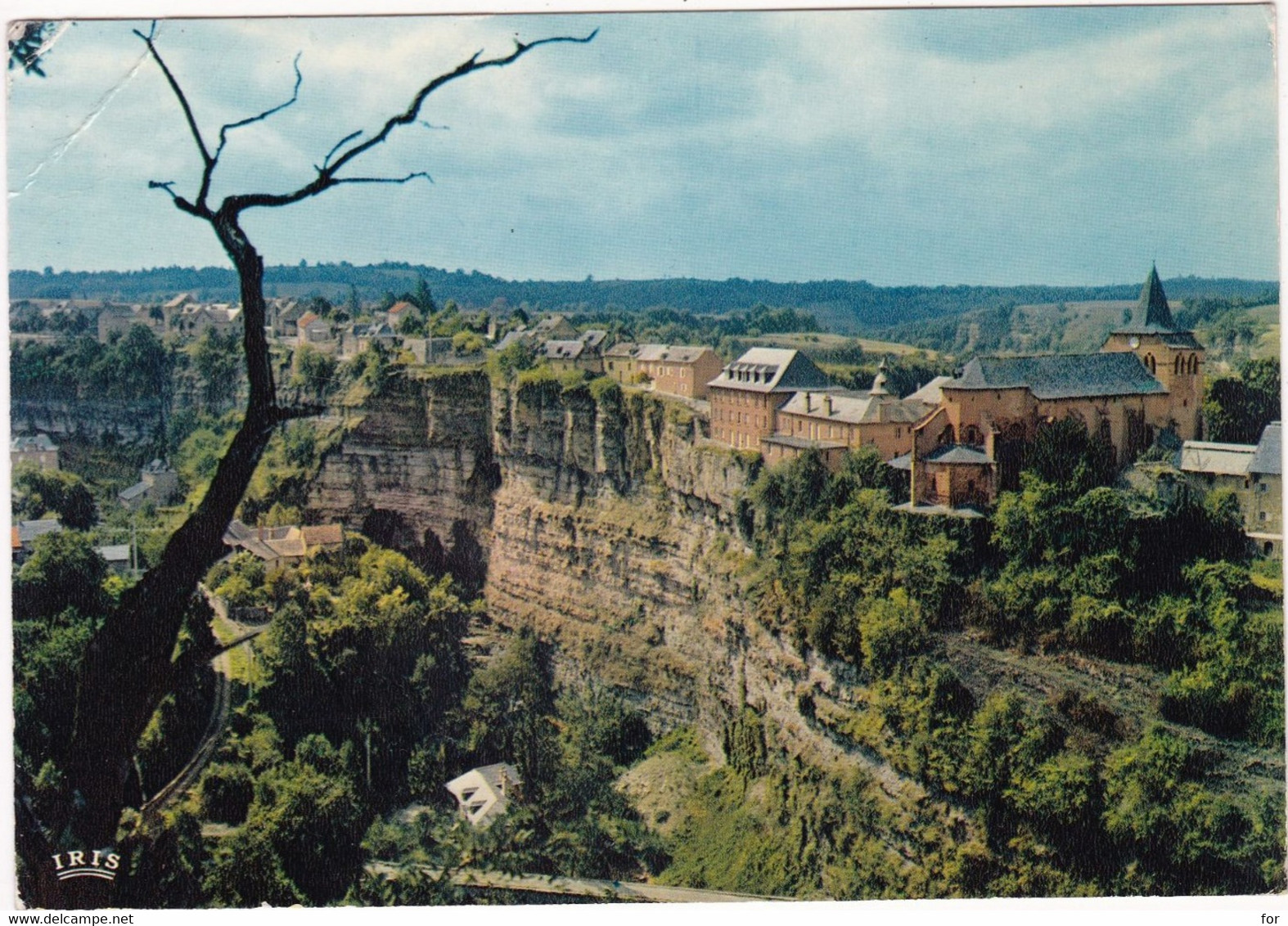 Aveyron : BOZOULS : Le Dourdou Y Coule Au Pied De Très Hautes Falaises Calcaires : Grand Format - Bozouls