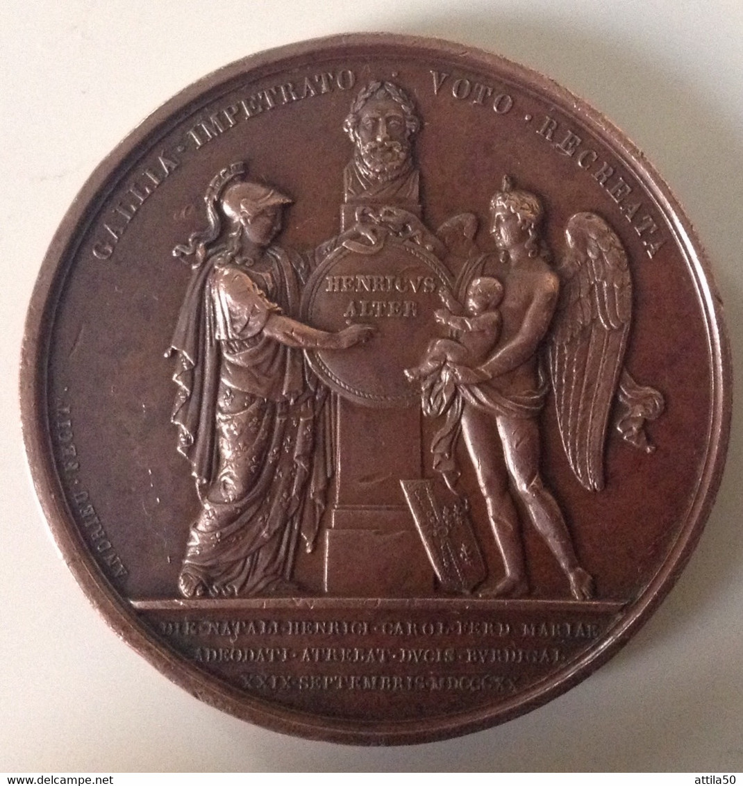 BRONZE MEDAL OF LVDOVICVS XVIII FRANC * ET* NAV* REX . YEAR 1820 Medaglia Borbonica- Nascita Figlio Di Maria Carolina - Adel