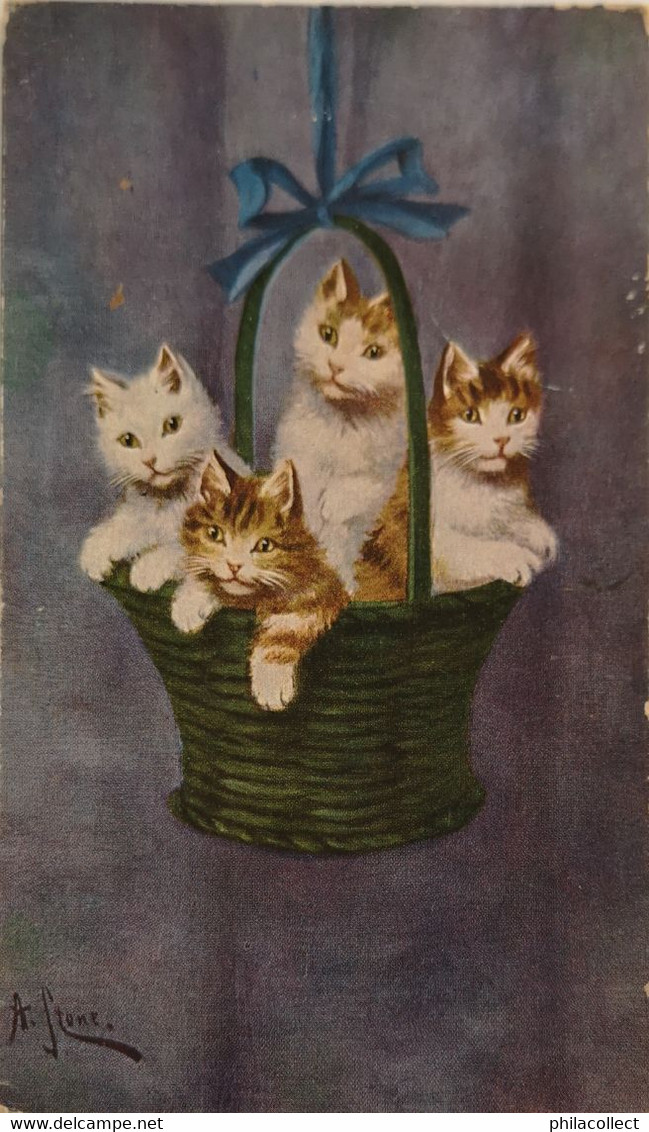 Cats - Katze // Cats In Basket By A. Stone 19?? - Katzen