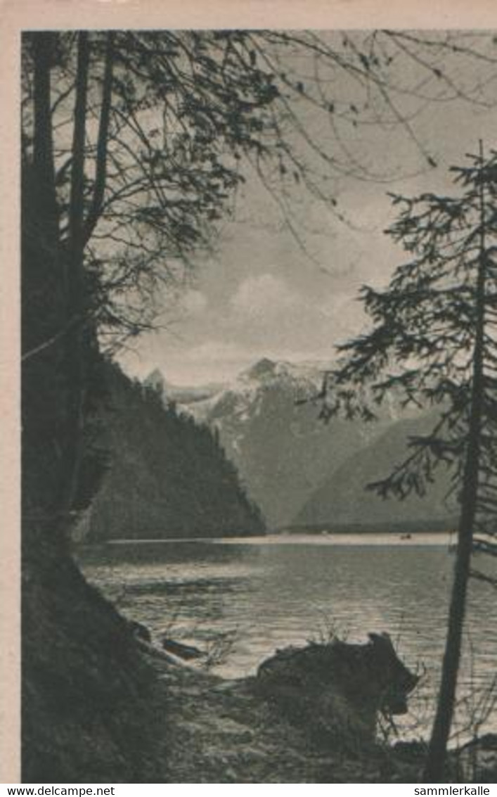 Schönau - Königssee Vom Malerwinkel - Ca. 1925 - Bad Reichenhall