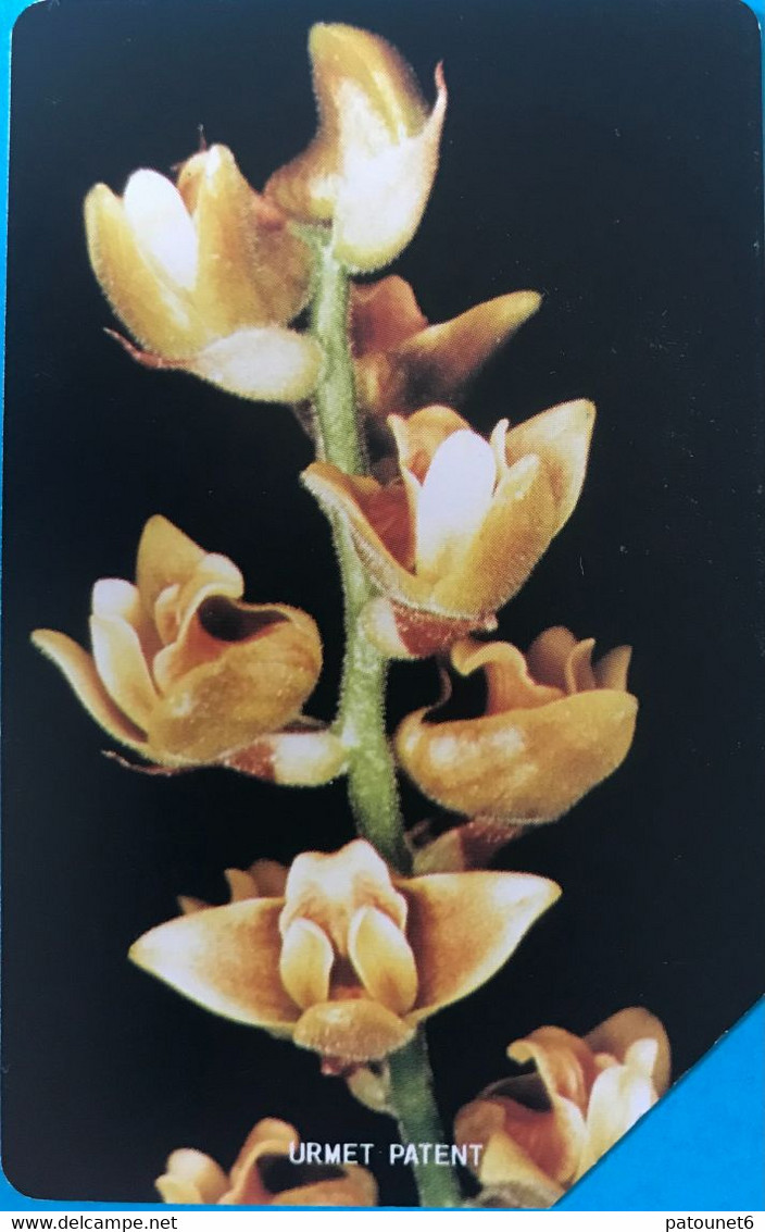 SIERRA-LEONE - Phonecerd - Flower - Orchidae - 10 Units - Sierra Leone