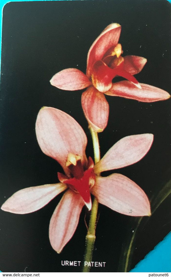 SIERRA-LEONE - Phonecerd - Flower - Orchidae - 50 Units - Sierra Leone