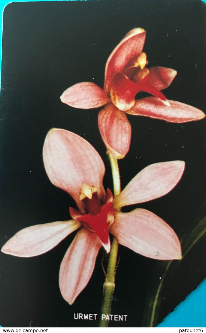 SIERRA-LEONE - Phonecerd - Flower - Orchidae - 50 Units - Sierra Leona