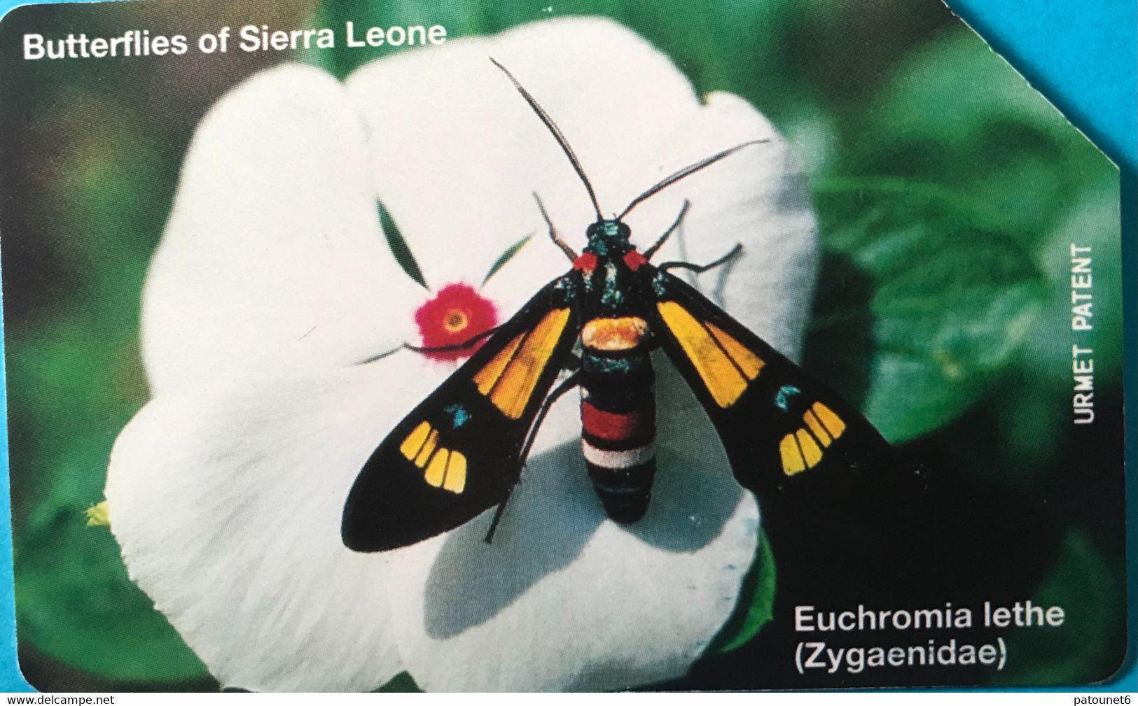 SIERRA-LEONE - Phonecerd - Euchromonia Lethe - 10 Units - Sierra Leone