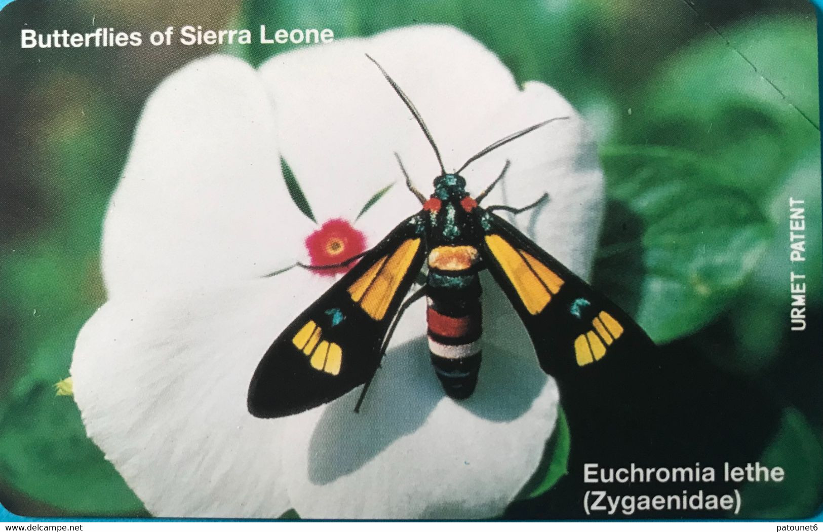 SIERRA-LEONE - Phonecerd - Euchromonia Lethe  -  25 Units - Sierra Leone