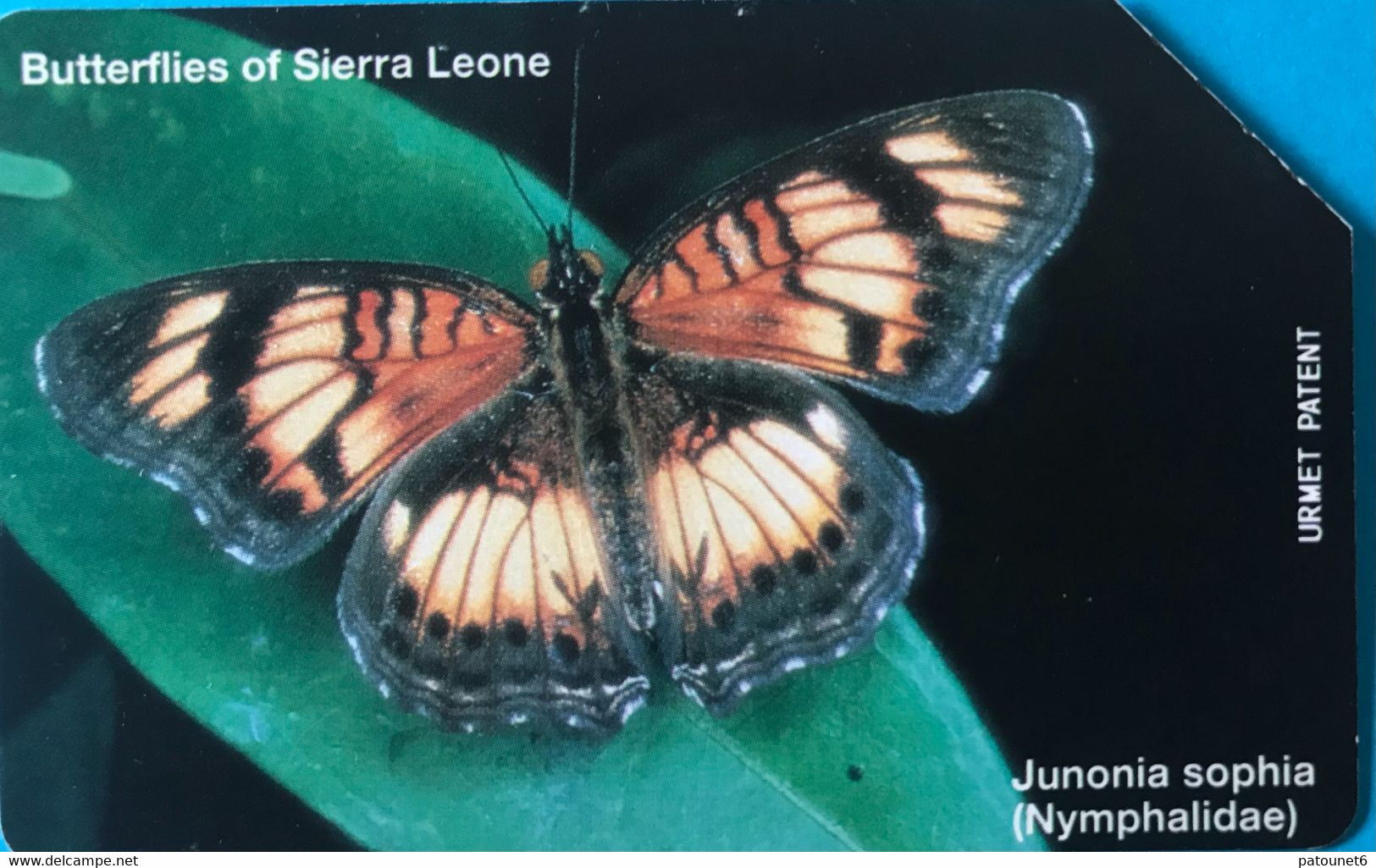 SIERRA-LEONE - Phonecerd - Junonia Sophia  -  50 Units - Sierra Leone