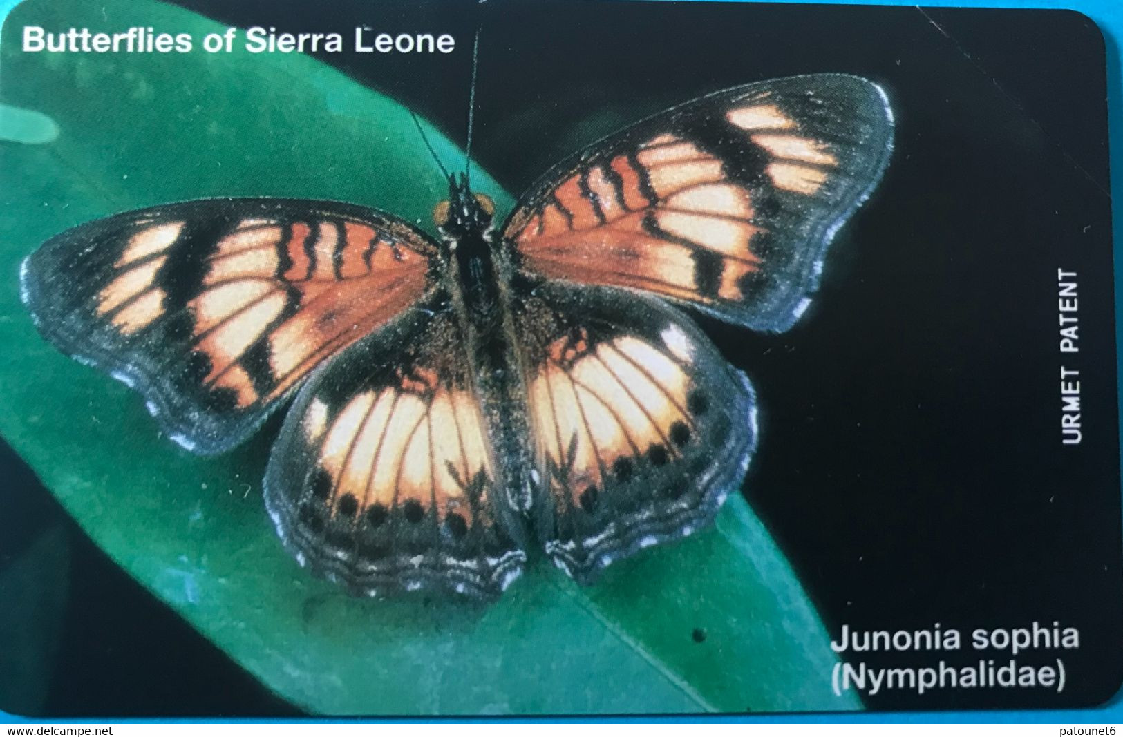 SIERRA-LEONE - Phonecerd - Junonia Sophia  -  50 Units - Sierra Leone