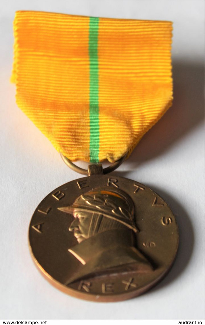 Médaille Belgique Le Roi Albert Ier ALBERTVS Rex 1909-1934 Herinneringsmedaille Aan De Regeerperiode Van Albert I - Belgique