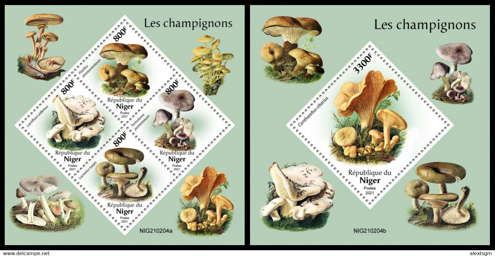 NIGER 2021 - Mushrooms. M/S + S/S Official Issue [NIG210204] - Pilze