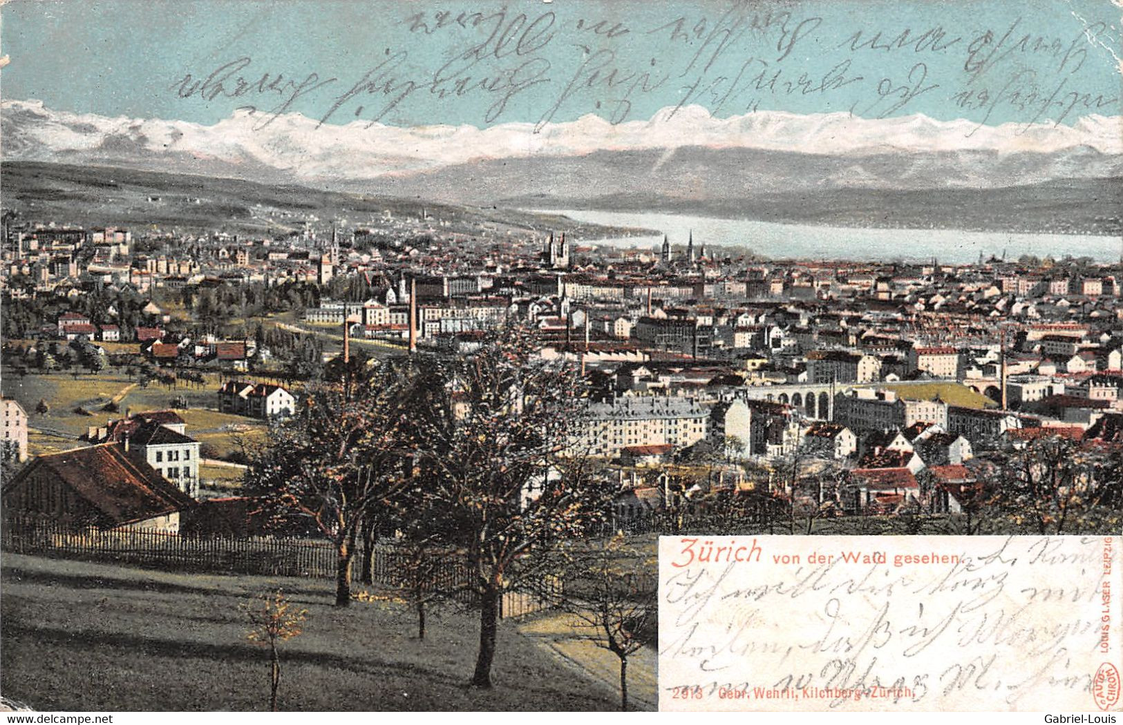 Zürich Von Der Wald Gesehen 1904 - Wald