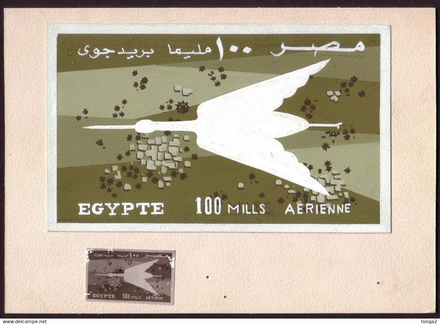 EGYPT  - Rare Original Artwork - Handpainted - Bird Stork Or Crane - 2 Pictures - Autres & Non Classés