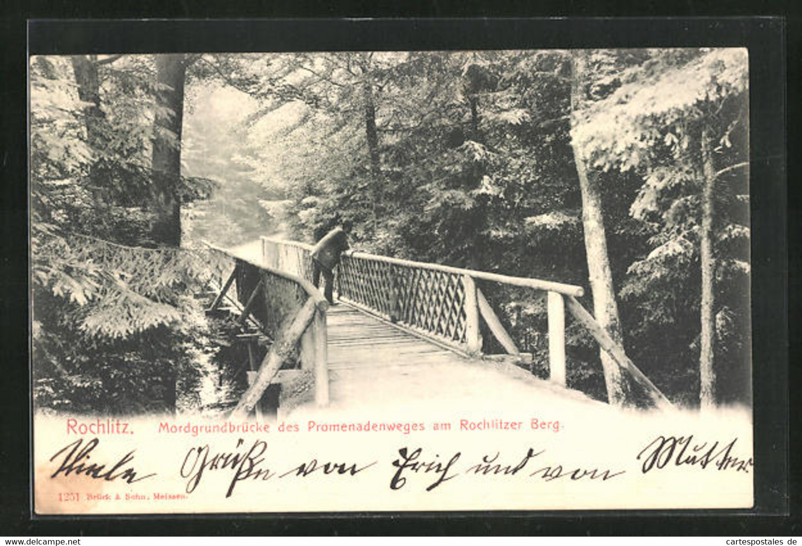 AK Rochlitz, Mordgrundbrücke Des Promenadenweges Am Rochlitzer Berg - Rochlitz