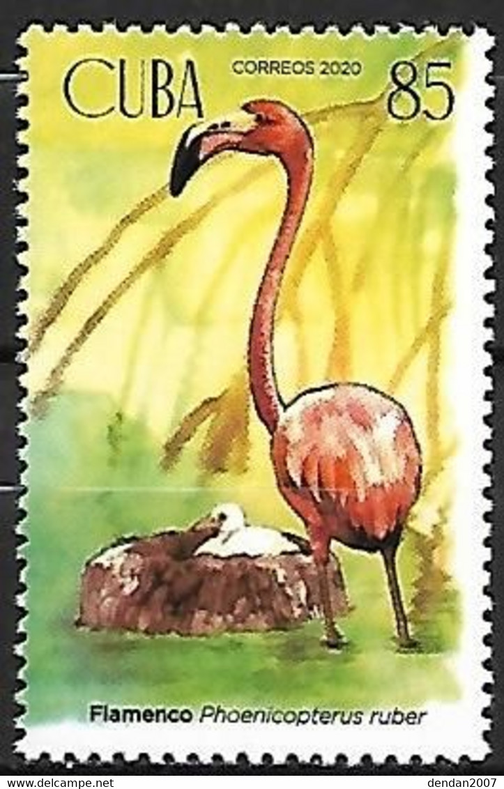 Cuba - MNH ** 2021 :    American Flamingo  -  Phoenicopterus Ruber - Flamingo