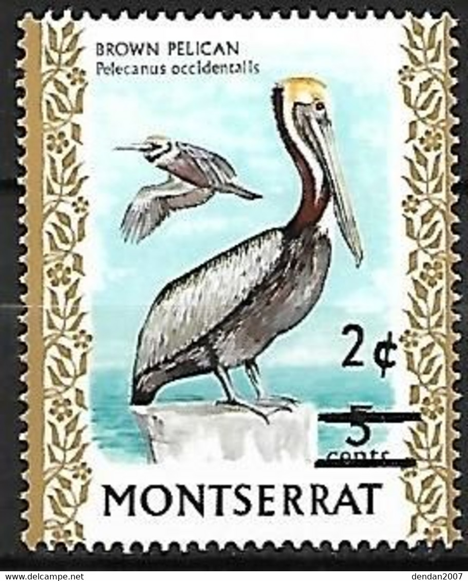 Montserrat - MNH ** 1976 :  Brown Pelican  -  Pelecanus Occidentalis (changed Value) - Pelikanen