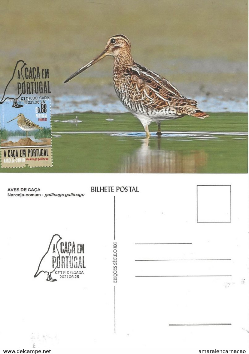 CARTE MAXIMUM - CARTOLINA MAXIMA - MAXIMUM CARD - PORTUGAL (AÇORES) - OISEAUX - BÉCASSINE-COMUM - Gallinago Gallinago - Gallinaceans & Pheasants