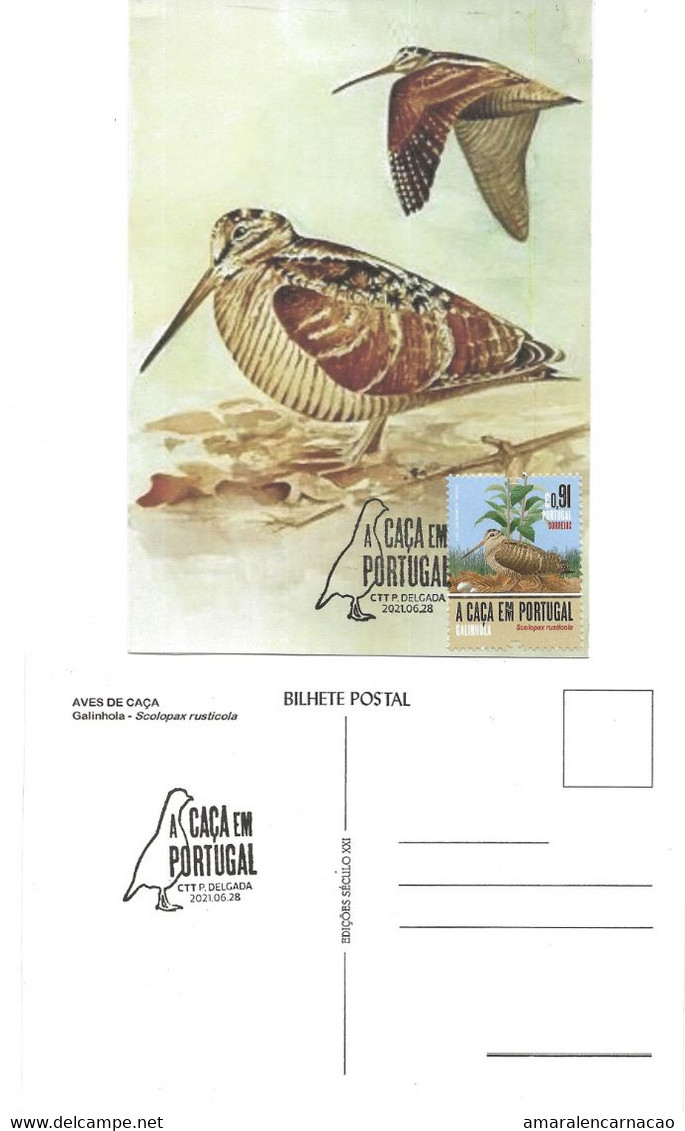 CARTE MAXIMUM - CARTOLINA MAXIMA - MAXIMUM CARD - PORTUGAL (AÇORES) - OISEAUX - BÉCASSÉ - Scolopax Rusticola - Autres & Non Classés