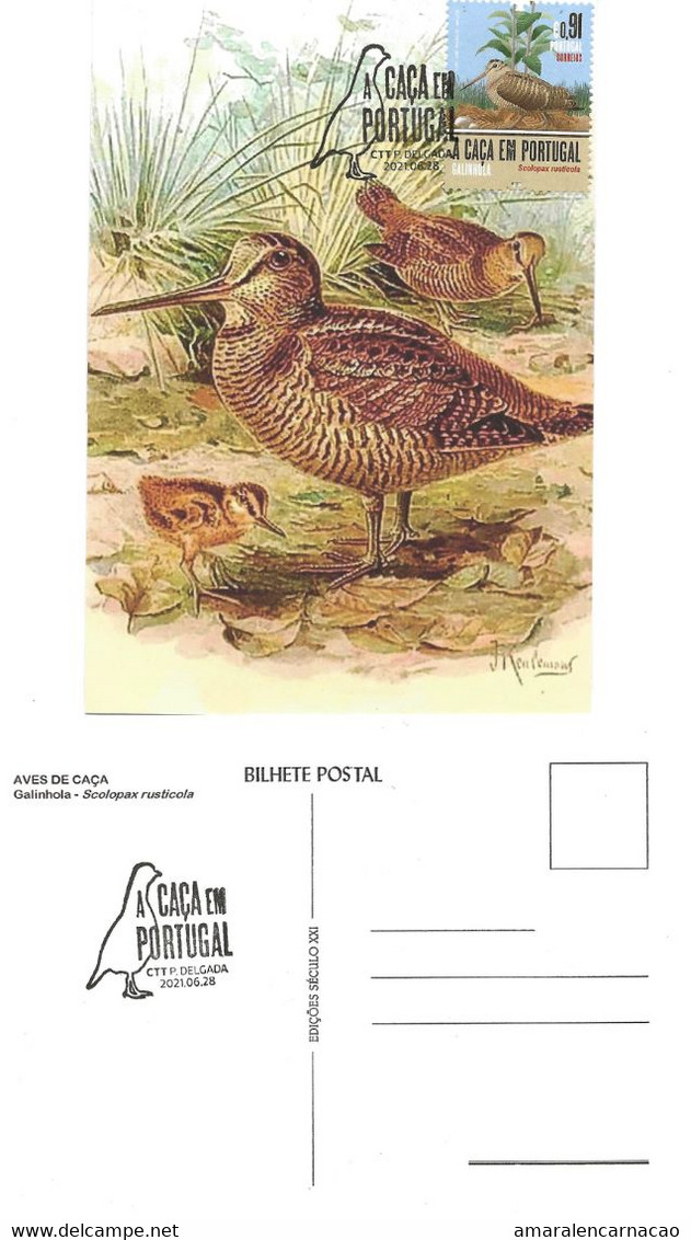 CARTE MAXIMUM - CARTOLINA MAXIMA - MAXIMUM CARD - PORTUGAL (AÇORES) - OISEAUX - BÉCASSÉ - Scolopax Rusticola - Autres & Non Classés