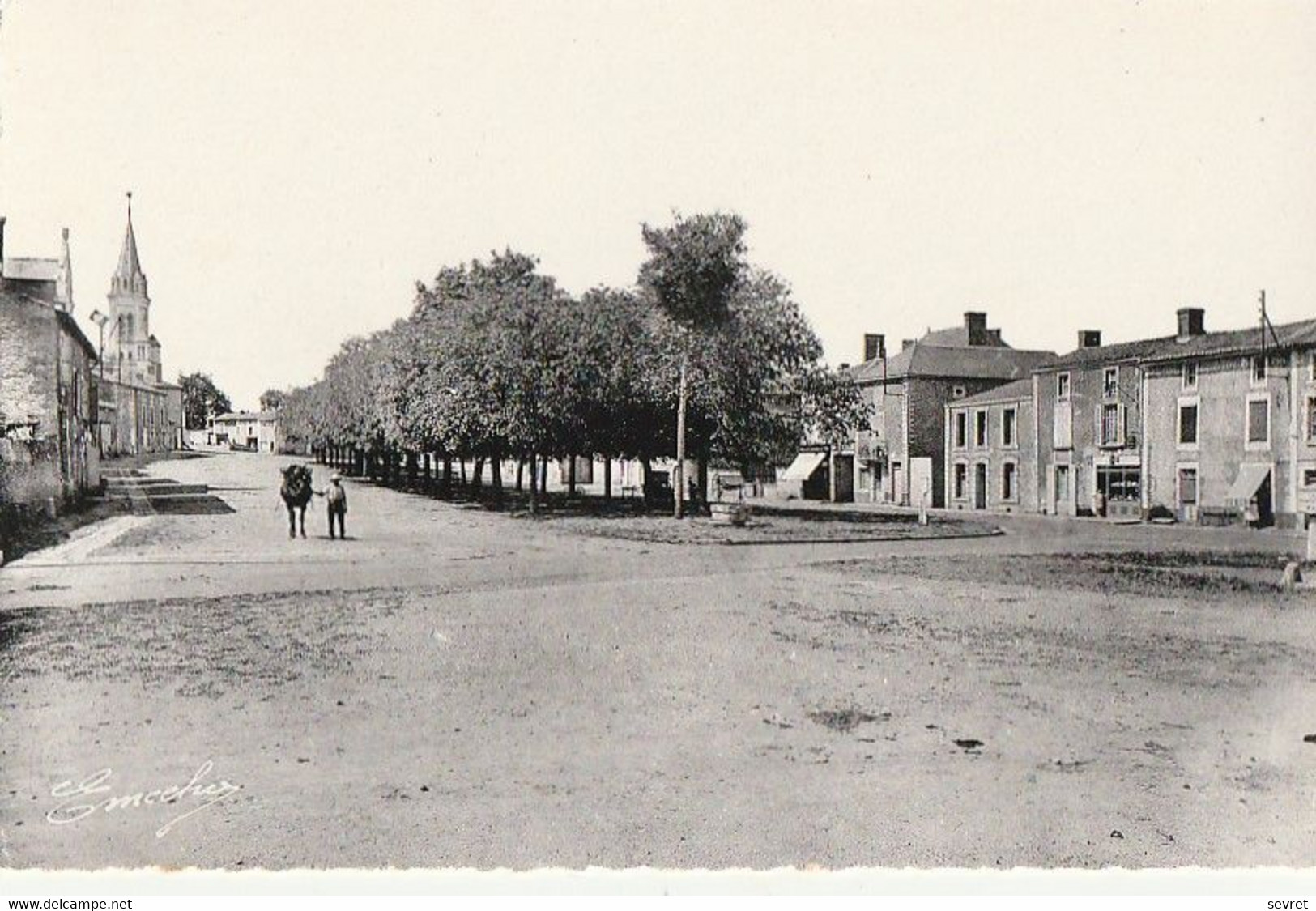 THENEZAY. - Les Promenades, Vers La Mairie Et L'Eglise. CPSM 9x14 - Thenezay