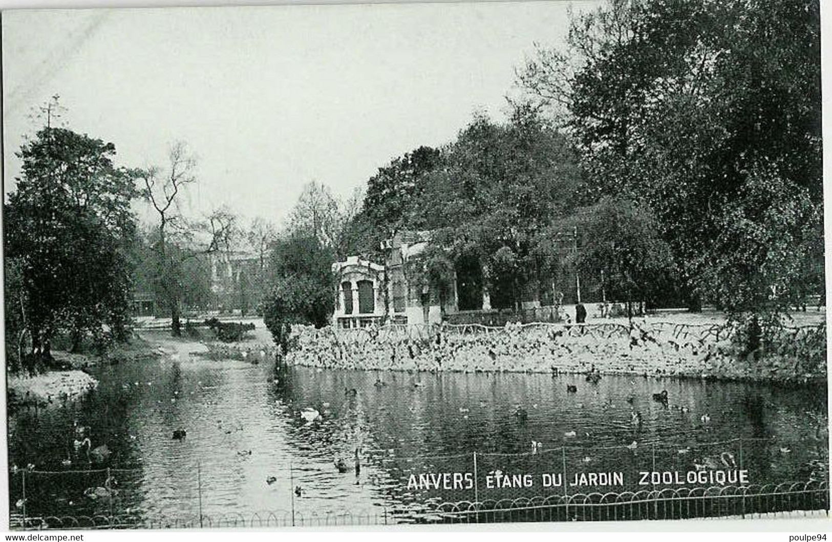 Anvers - Etang Du Jardin Zoologique - Other & Unclassified